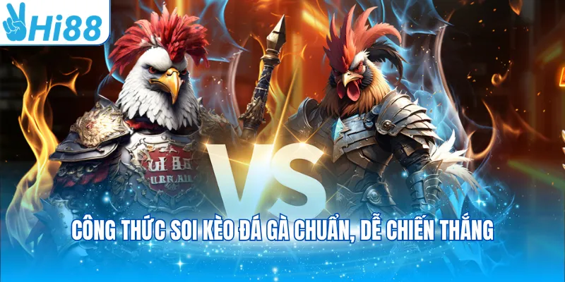 Công thức soi kèo đá gà chuẩn, dễ chiến thắng