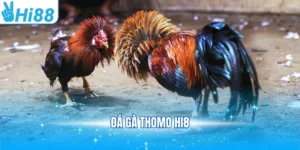 Đá gà Thomo Hi88