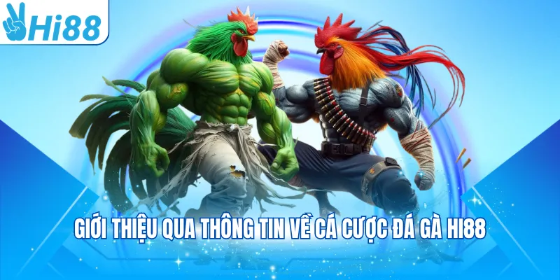 Giới thiệu qua thông tin về cá cược đá gà Hi88