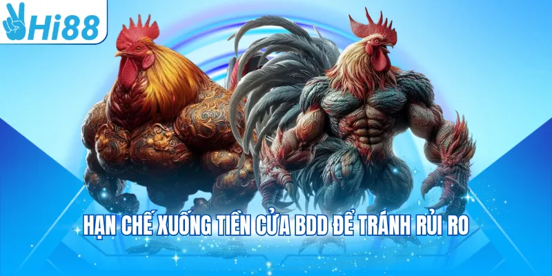Hạn chế xuống tiền cửa BDD để tránh rủi ro