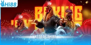 kèo đá gà Hi88