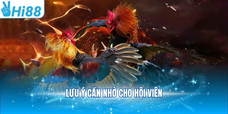 Lưu ý cần nhớ cho hội viên
