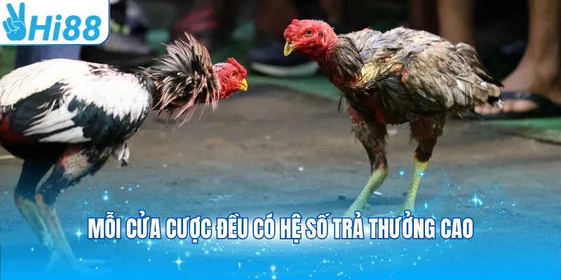 Mỗi cửa cược đều có hệ số trả thưởng cao