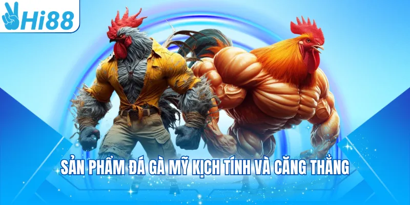 Sản phẩm đá gà Mỹ kịch tính và căng thẳng