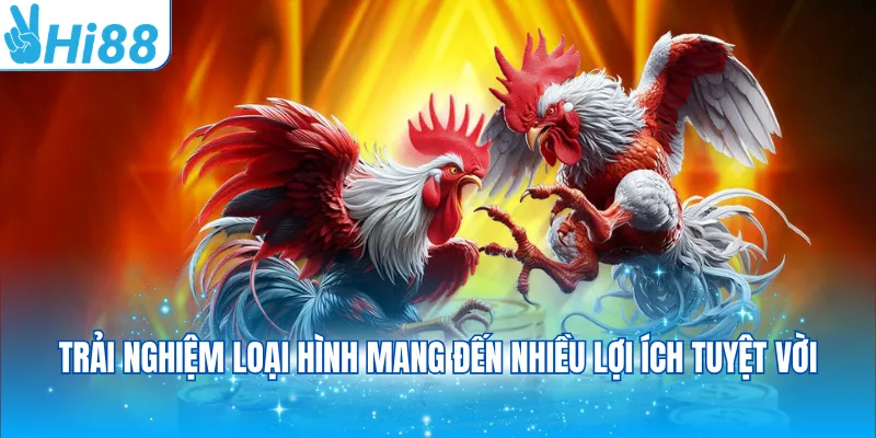 Trải nghiệm loại hình mang đến nhiều lợi ích tuyệt vời